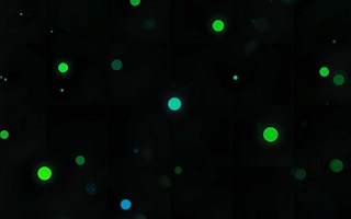 Dot and Box: Classic Strategy Game