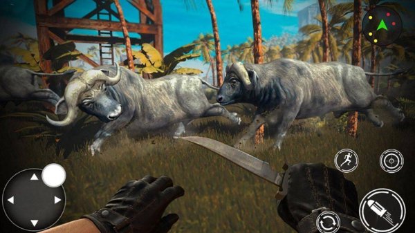 Wildlife Tracker: Savanna Quest