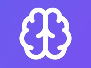 Memory Match Lite Action Game