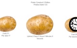 Potato Construct 2 Edition - Clicker Arcade Game