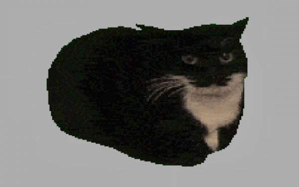 Spinning Cat Clicker Online Game Arcade Game