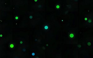 Dot and Box: Classic Puzzle Game Online