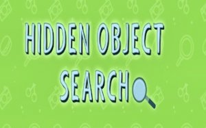 Hidden Object Discovery Puzzle