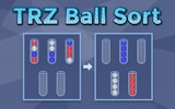 Color Sort Logic Puzzle